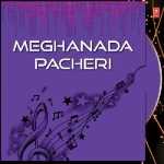 Meghanada Pacheri
