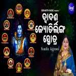 Dwadasa Jyotirlinga Stotra