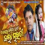 Ae Mor Kalia Hati