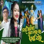 Nahi Chhadija Gopanagar Re Bansidhara