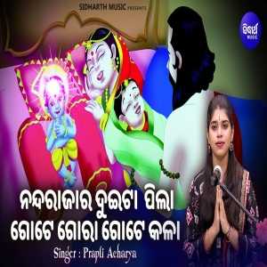 Nanda Rajara Duiti Pila