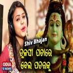 Tulasi Pachare Bela Pataraku