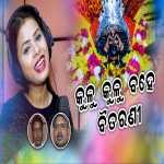 Kulu Kulu Bahe Baitarani