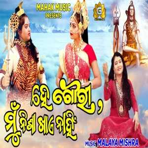 He Gouri Mun Nisha Khaye Nahin