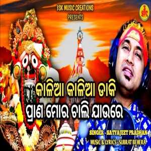 Kalia Kalia Daki Prana Mora Chali Jaure