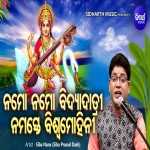Namo Namo Bidyadatri