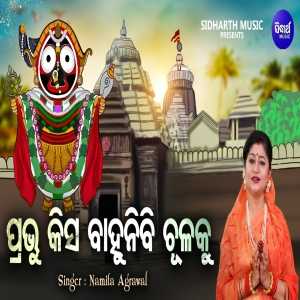 Prabhu Kisa Bahunibi Chulaku