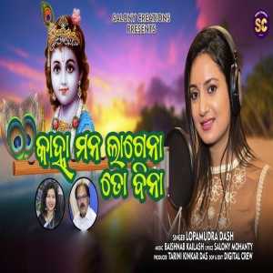 Kanha Mana Lagena To Bina