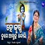 He Krushna Tume Asucha Boli