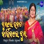 Jhul Re Bhakata Kartikare Jhul