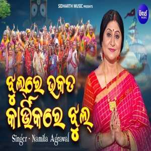 Jhul Re Bhakata Kartikare Jhul