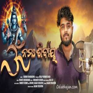 Omm Namah Shivay