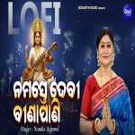 Namaste Devi Binapani