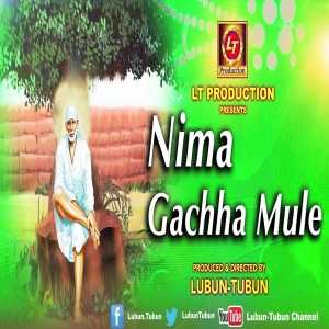 Nima Gachha Mule